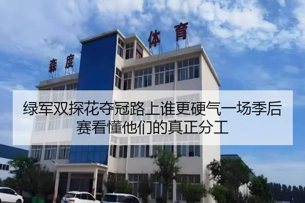 绿军双探花夺冠路上谁更硬气一场季后赛看懂他们的真正分工